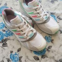 zx 8000|کیف، کفش، کمربند|تهران, باغ فیض|دیوار
