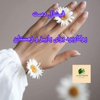 پاکسازی و فیشال تضمین کیفیت کار و مواد مصرفی|خدمات آرایشگری و زیبایی|تهران, فاطمی|دیوار