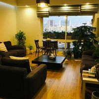 180 متر، تک واحد، خوش انرژی|اجارهٔ آپارتمان|تهران, ونک|دیوار