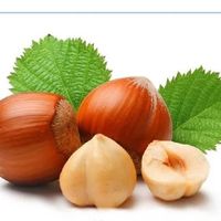 روغن فندق ارگانیک|حراج|تهران, ابن بابویه|دیوار