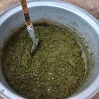 سبزیجات ارگانیک مظفری|خوردنی و آشامیدنی|نیشابور, |دیوار