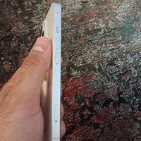 اپل iPhone 13 با حافظهٔ ۲۵۶ گیگابایت|موبایل|تهران, اقدسیه|دیوار