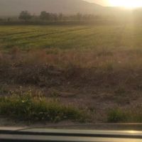زمین-کشاورزی-سند-شش-دانگ-رباط-محمود