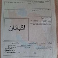 برند صنایع غذایی اکباتان|خدمات مالی، حسابداری، بیمه|تهران, امانیه|دیوار