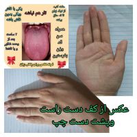 روغن خارمریم. روغن تخم کدو.  روغن بادام شیرین|خدمات آرایشگری و زیبایی|جیرنده, |دیوار