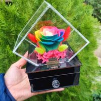 موزیک باکس گل رز جاودان در تنوع رنگ وطرح روز دختر|گل و گیاه طبیعی|تهران, میدان ولیعصر|دیوار