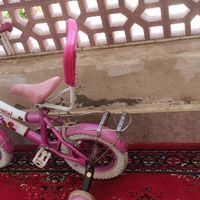 دوچرخه سایز ۱۶|دوچرخه، اسکیت، اسکوتر|پرند, |دیوار