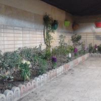 باغبانی ودرختکاری|خدمات باغبانی و درختکاری|اصفهان, عاشق‌آباد|دیوار
