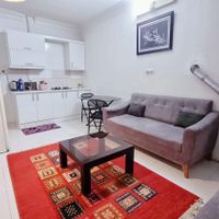 آپارتمان مبله فول امکانات هفت تیر|اجارهٔ کوتاه‌مدت آپارتمان و سوئیت|مشهد, هفت تیر|دیوار