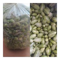 فروش 50کیلو،گلک لگجین تازه جهت ترشی|خوردنی و آشامیدنی|کازرون, |دیوار