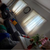اجاره واحدیکخوابه|اجارهٔ آپارتمان|رشت, جانبازان|دیوار