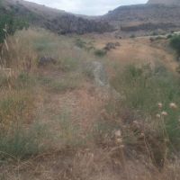 فروش-زمین-کشاورزی-در-روستایی-رویندزق