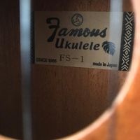 گیتار مینی یا یوکللی UKULELE|گیتار، بیس، امپلیفایر|تهران, گلاب دره|دیوار