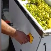 دستگاه بروز آبغوره گیری آبلیمو گیر آب غوره آتی ساز|آبمیوه‌گیر و آب‌مرکبات‌گیر|تهران, تهران‌سر|دیوار