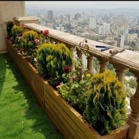 سمپاشی وهرستکاری و باغبانی در همه نقاط تهران|خدمات باغبانی و درختکاری|تهران, نیاوران|دیوار