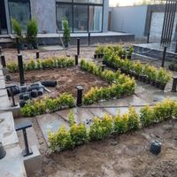 خدمات باغبانی کاشتن گل باغچه کاری تعویض خاک گلدون|خدمات باغبانی و درختکاری|تهران, یوسف‌آباد|دیوار
