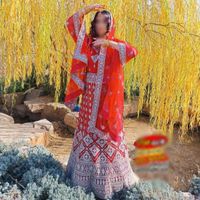 کرایه لباس هندی لباس مجلسی هندی ساری هندی|لباس|شیراز, صاحب الزمان|دیوار