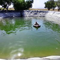 ۱۵۰۰ متر باغ بادام و ۵۰۰۰ متر زمین باغی|فروش دفتر صنعتی، کشاورزی، تجاری|تهران, امیر بهادر|دیوار