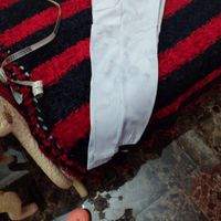 شلوار کوهنوردی زمستانی رنگ سفید خاکستری|کوهنوردی و کمپینگ|تهران, پاسداران|دیوار
