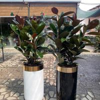 خدمات باغبانی گلکاری باغچه تعویض خاک گل شخم سمپاشی|خدمات باغبانی و درختکاری|تهران, جنت‌آباد جنوبی|دیوار