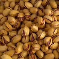 فروش پسته طلای سبز|خوردنی و آشامیدنی|تهران, ائمه اطهار|دیوار