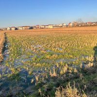 فروش زمین ۲۰۷۵ متری در روستای کوه بنه لاهیجان|فروش زمین و ملک کلنگی|لاهیجان, |دیوار