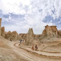 گشت جزیره گردی قشم و هنگام و جزیره هرمز|تور و چارتر|قشم, |دیوار