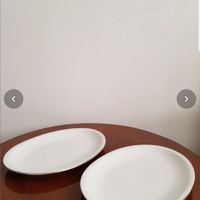 ۲ دیس و یک دست بشقاب  پلو خوری|حراج|تهران, الهیه|دیوار