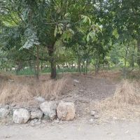 اجاره-زمین-کشاورزی