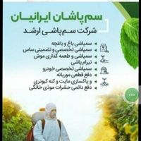 سمپاشی تخصصی زیر نظر دانشگاه شهید بهشتی تهران|خدمات نظافت|تهران, بلوار کشاورز|دیوار