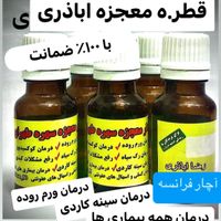 سهره قناری گلدین کبوتر کاسکو|پرنده|تهران, آبشار|دیوار