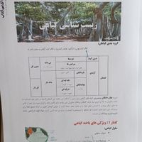 کتاب زیست دکتر حنیف عظیمی ۱۴۰۴ جدید جزوه|کتاب و مجله آموزشی|تهران, میدان انقلاب|دیوار