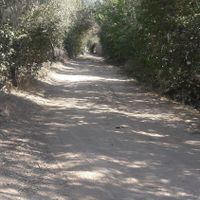 فروش باغ ،زمین،ویلای آماده،در روستای زین آباد|فروش خانه و ویلا|تبریز, |دیوار