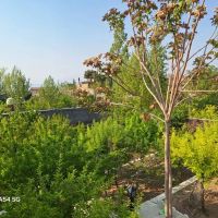 ویلاباغ-دلنشین1000زمین250بنا-طلایی-ناب-در-مهراباد
