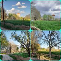 زمین-باغ-نزدیک-قدمگاه