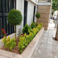 خدمات باغبانی کاشتن گل باغچه کاری تعویض خاک گلدون|خدمات باغبانی و درختکاری|تهران, یوسف‌آباد|دیوار