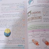 زیست خیلی سبز یازدهم کنکور|کتاب و مجله آموزشی|تهران, امام حسین(ع)|دیوار