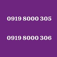 919-8000-305|سیم‌کارت|قدس, |دیوار