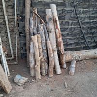خرید و فروش انواع چوب|خدمات باغبانی و درختکاری|چهاردانگه, |دیوار