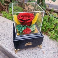 موزیک باکس گل رز جاودان در تنوع رنگ وطرح روز دختر|گل و گیاه طبیعی|تهران, میدان ولیعصر|دیوار