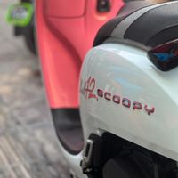 Honda scoopy clup12 limited|موتورسیکلت|تهران, بریانک|دیوار