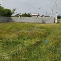 فروش زمین نزدیک دریا|فروش زمین و ملک کلنگی|بهنمیر, |دیوار