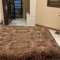 ۱۲۰متر/۲خواب/مستر/۶ساله/هروی|اجارهٔ آپارتمان|تهران, هروی|دیوار