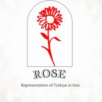 زبرا ( Rose)|پرده، رانر، رومیزی|تهران, مولوی|دیوار