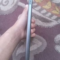 تبلت|تبلت|اصفهان, سنبلستان|دیوار