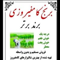 برنج درجه 1 کامفیروزی برای شب یلدا|خوردنی و آشامیدنی|تهران, جنت‌آباد جنوبی|دیوار