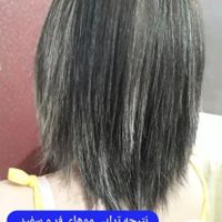 آموزش احیا/پروتئین تراپی/کراتین|خدمات آرایشگری و زیبایی|تهران, نواب|دیوار