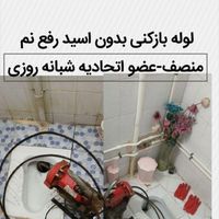 لوله بازکن رفع نم55%تخفیف 24ساعت بدون۱سیدکل شهرچاه|خدمات پیشه و مهارت|مشهد, وکیل‌آباد|دیوار