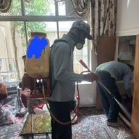باغبانی درخت کاری  وسمپاشی|خدمات باغبانی و درختکاری|تهران, نیاوران|دیوار