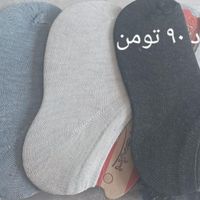 جوراب اسپورت|لباس|شیراز, کوی طلاب|دیوار